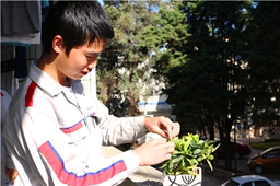 綠色環(huán)保，男生也愛小盆栽